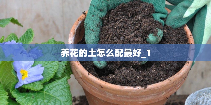 养花的土怎么配最好_1