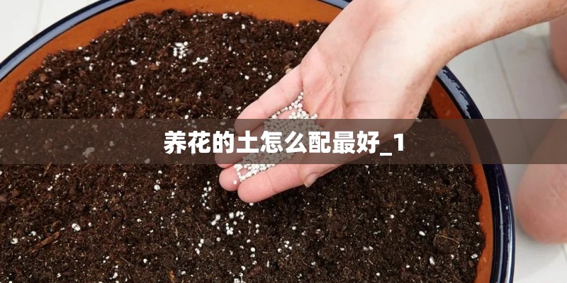 养花的土怎么配最好_1