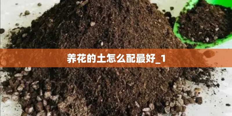 养花的土怎么配最好_1