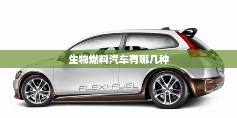 生物燃料汽车有哪几种