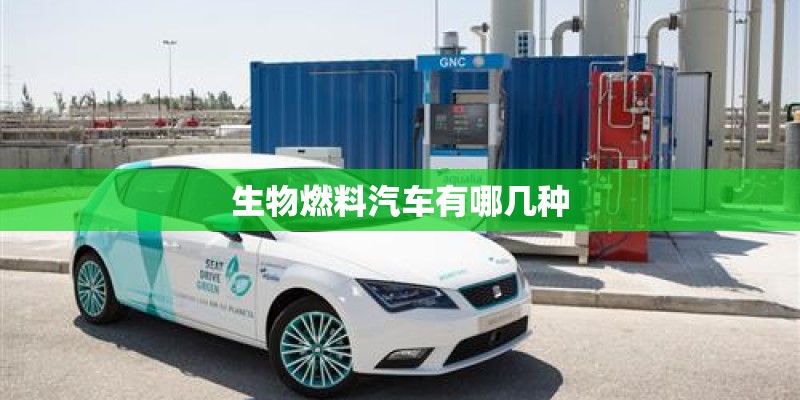 生物燃料汽车有哪几种