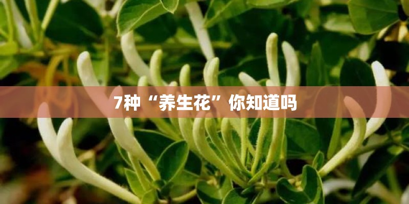 房产中介网络营销策略有哪些