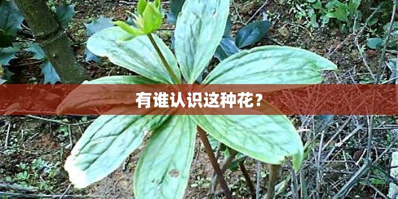 西安8月份未来20天的天气情况