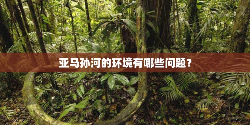 陈辉的教育科研