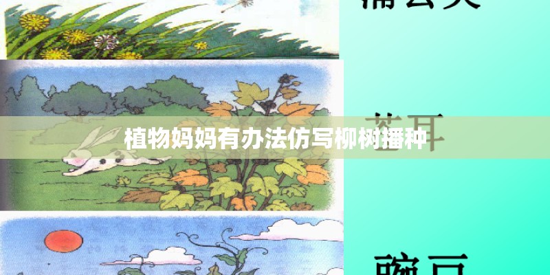 植物妈妈有办法仿写柳树播种