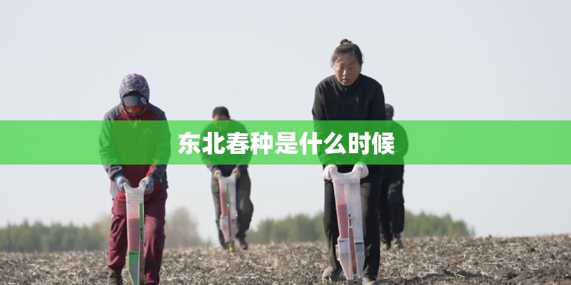 东北春种是什么时候 东北春种是什么时候
