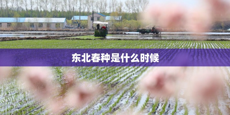 东北春种是什么时候 东北春种是什么时候