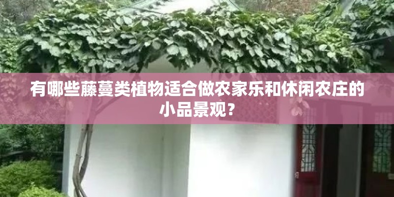 新款途安L上市：我觉得我还可以再抢救一下
