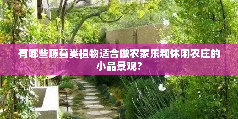 有哪些藤蔓类植物适合做农家乐和休闲农庄的小品景观？