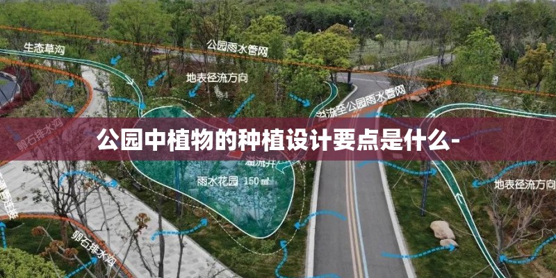 公园中植物的种植设计要点是什么-