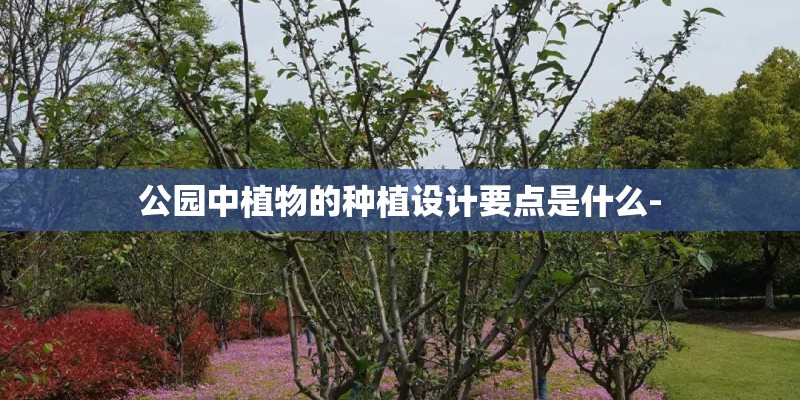 公园中植物的种植设计要点是什么-
