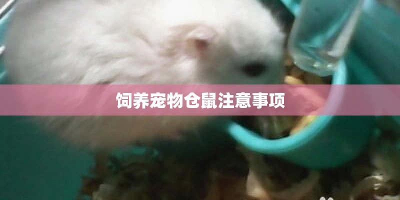 外地人在杭州申请公租房流程