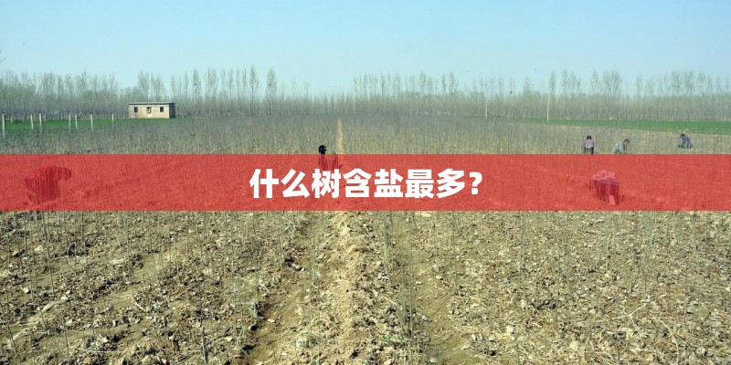 什么树含盐最多？