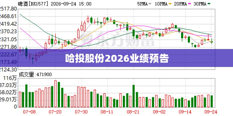 哈投股份2026业绩预告