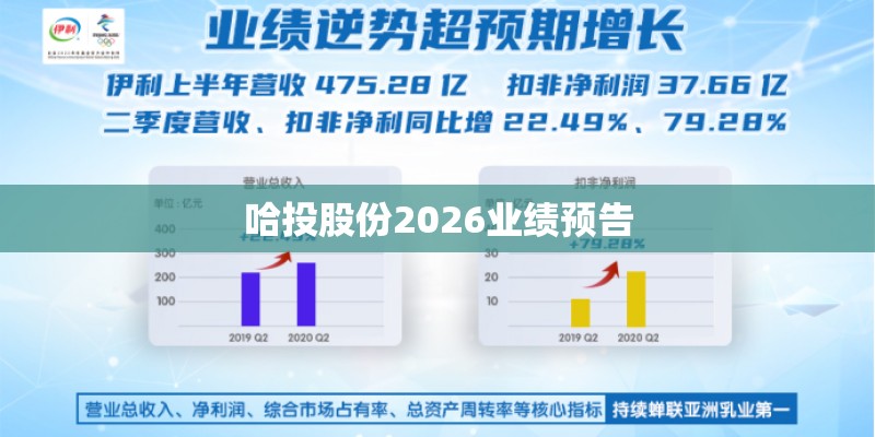 哈投股份2026业绩预告