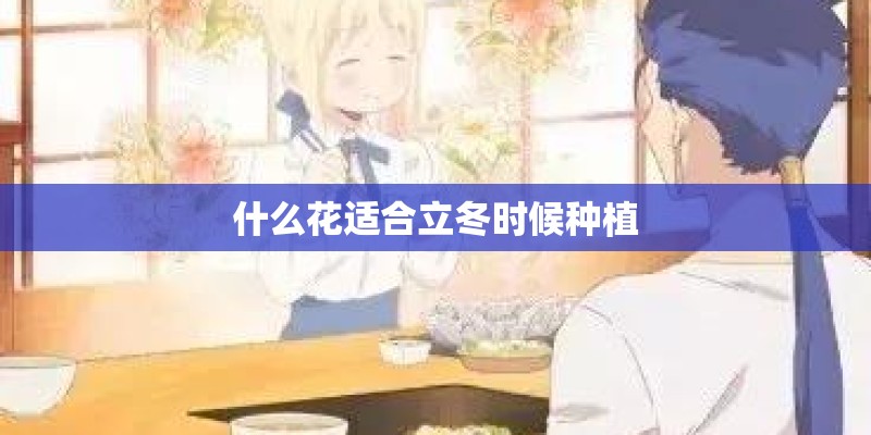 一人一首成名曲精选老歌