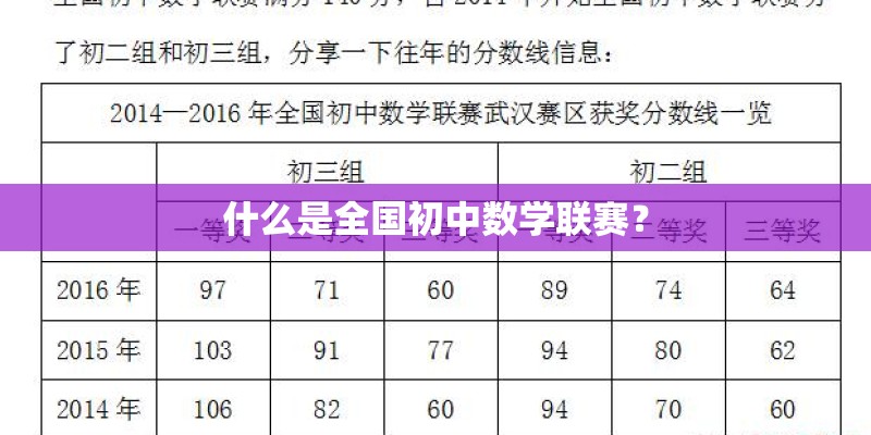 什么是全国初中数学联赛？