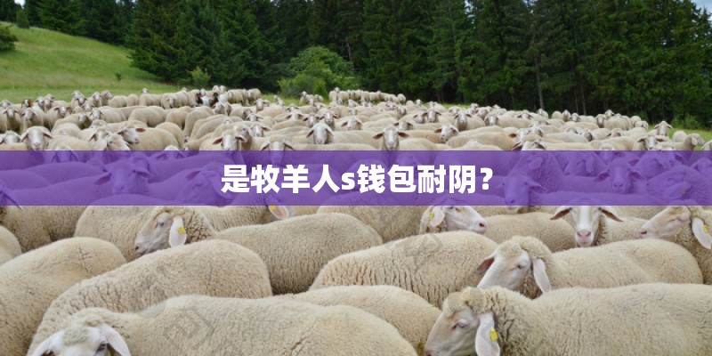 是牧羊人s钱包耐阴？