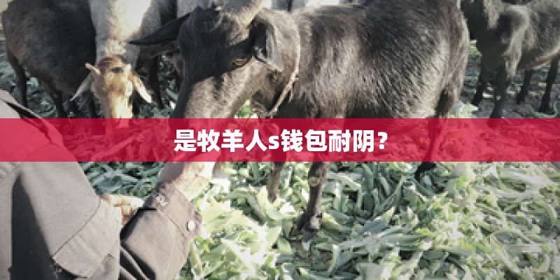 是牧羊人s钱包耐阴？