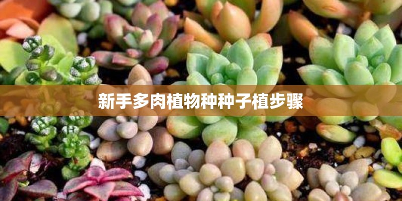 浙江湖州台风严重吗