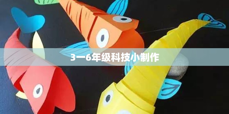 3一6年级科技小制作