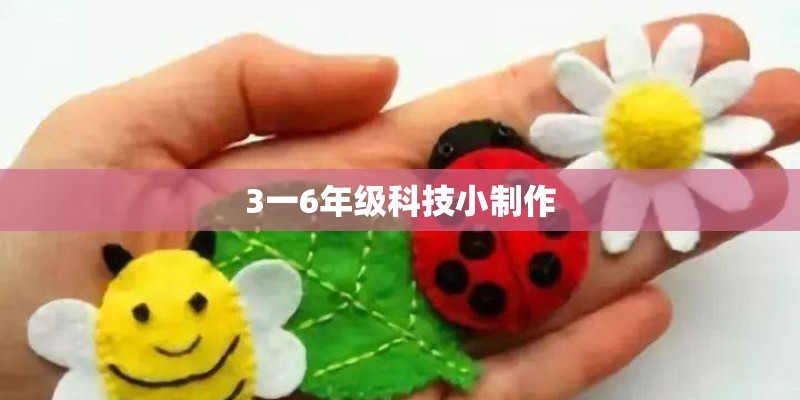 3一6年级科技小制作