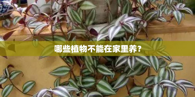 东丽区房屋租赁登记备案证明