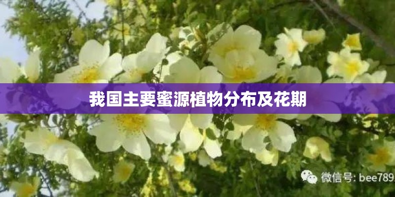 我国主要蜜源植物分布及花期