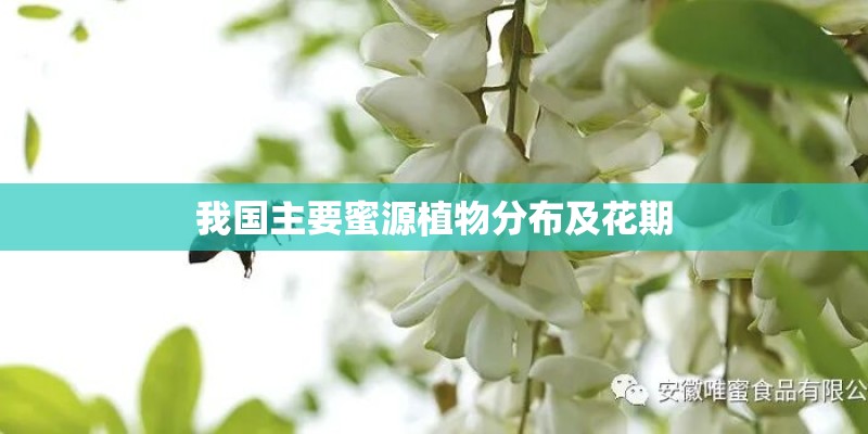 我国主要蜜源植物分布及花期