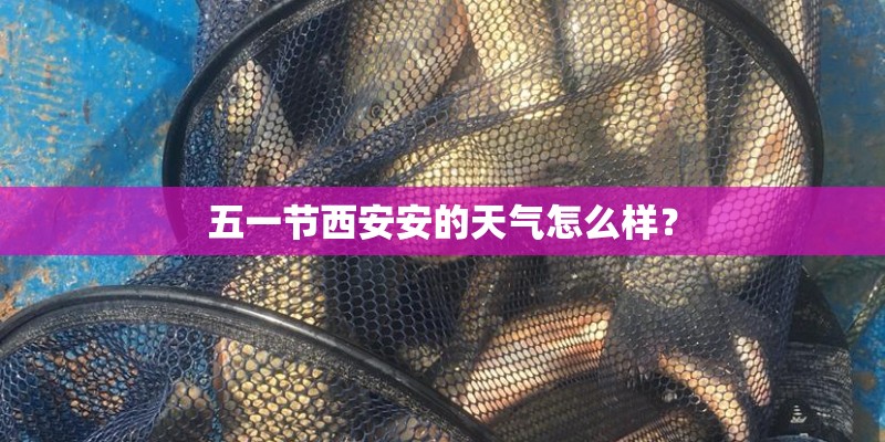 五一节西安安的天气怎么样？