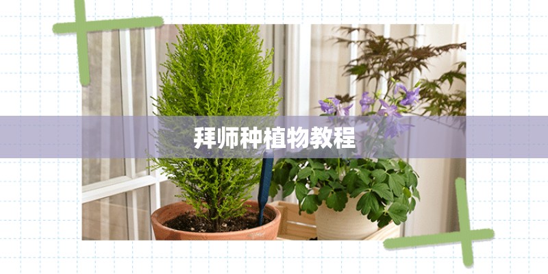 拜师种植物教程