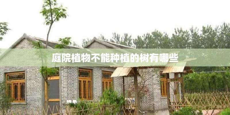 庭院植物不能种植的树有哪些