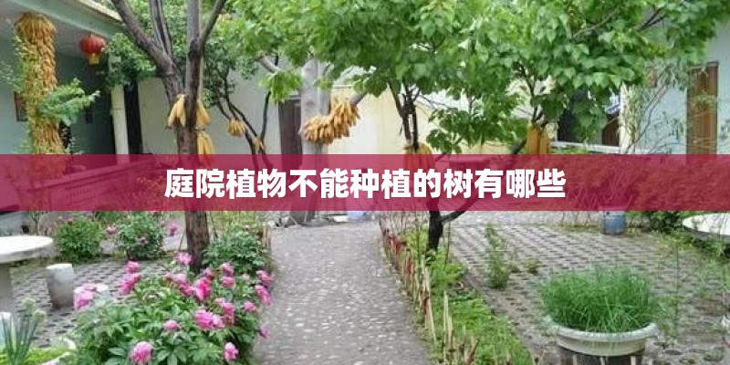 国有土地分几种性质