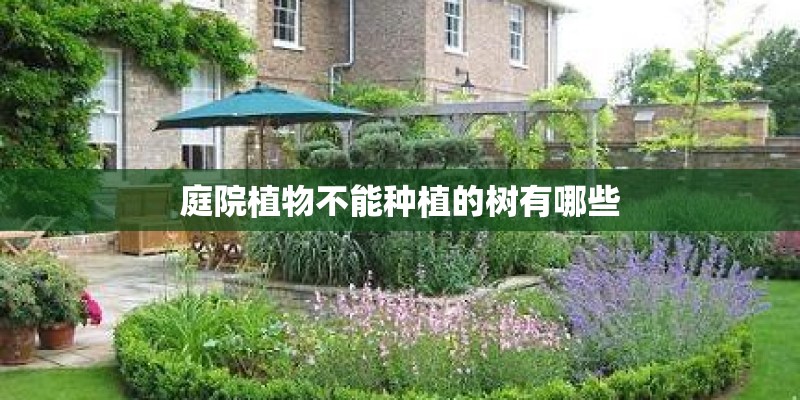 庭院植物不能种植的树有哪些