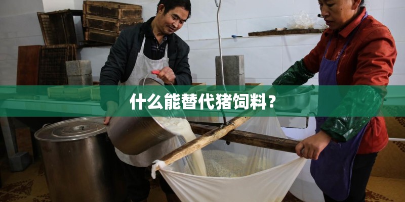 什么能替代猪饲料？