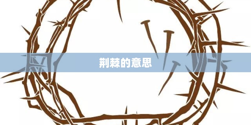 荆棘的意思
