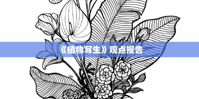 《植物写生》观点报告