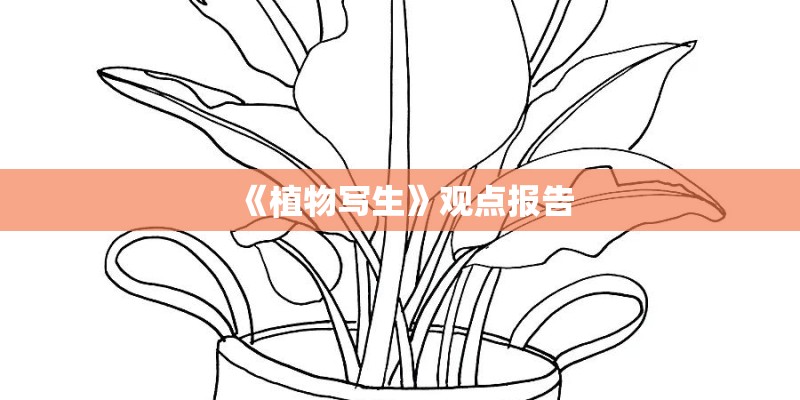 如何种植黄皮