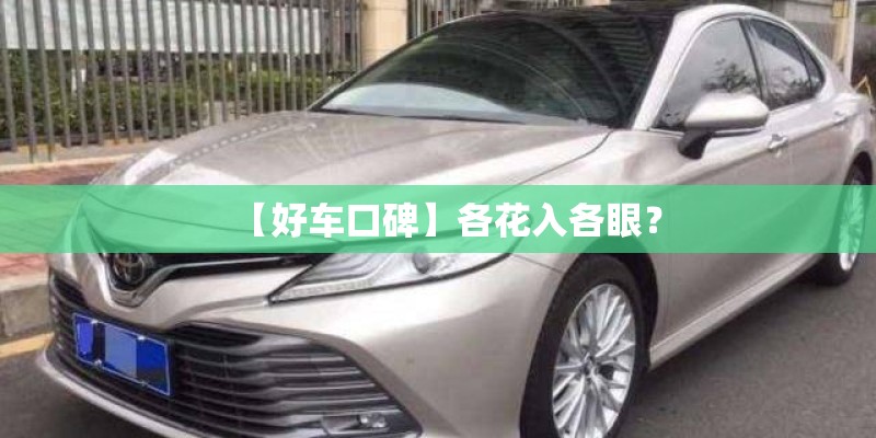【好车口碑】各花入各眼？