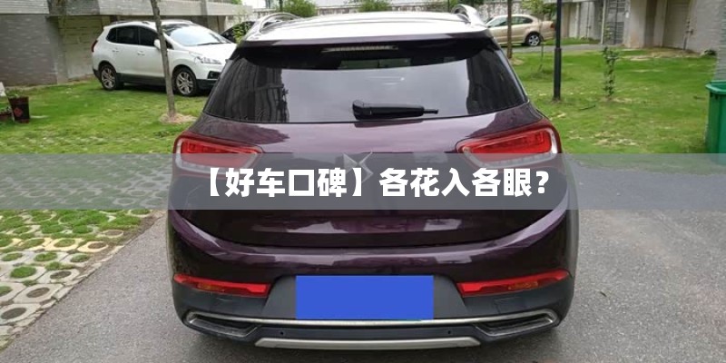 【好车口碑】各花入各眼？