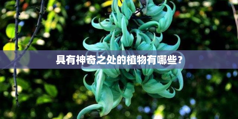 桐城市是中国最值得去的十个小城吗？