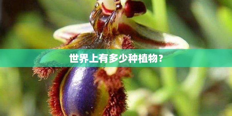 世界上有多少种植物? 世界上有多少种植物?