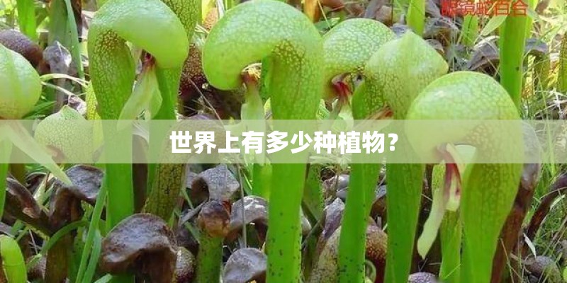 世界上有多少种植物? 世界上有多少种植物?