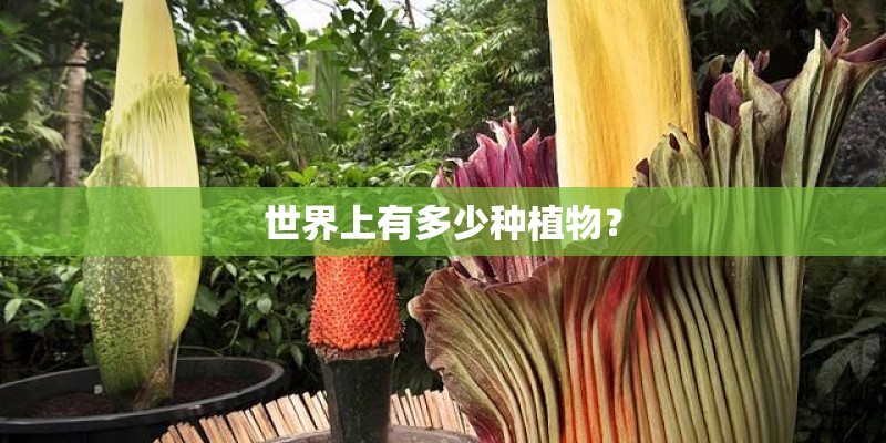 世界上有多少种植物? 世界上有多少种植物?