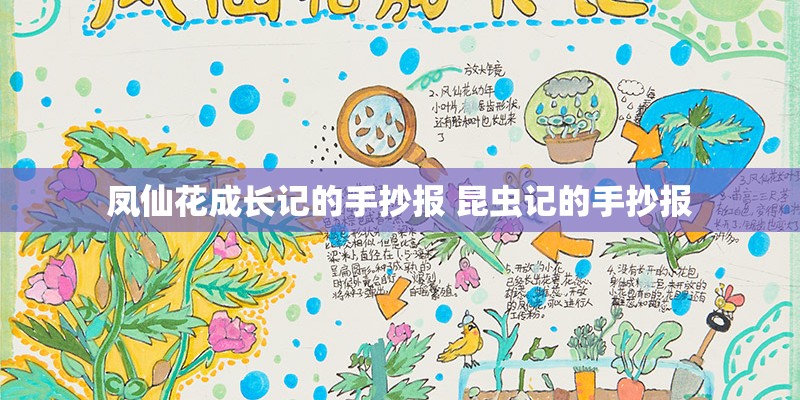凤仙花成长记的手抄报 昆虫记的手抄报