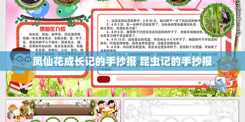 凤仙花成长记的手抄报 昆虫记的手抄报