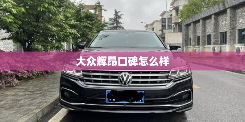 大众辉昂口碑怎么样
