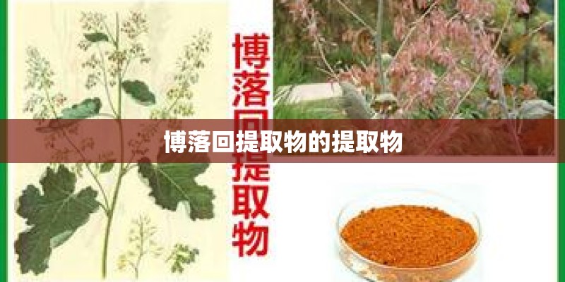 博落回提取物的提取物