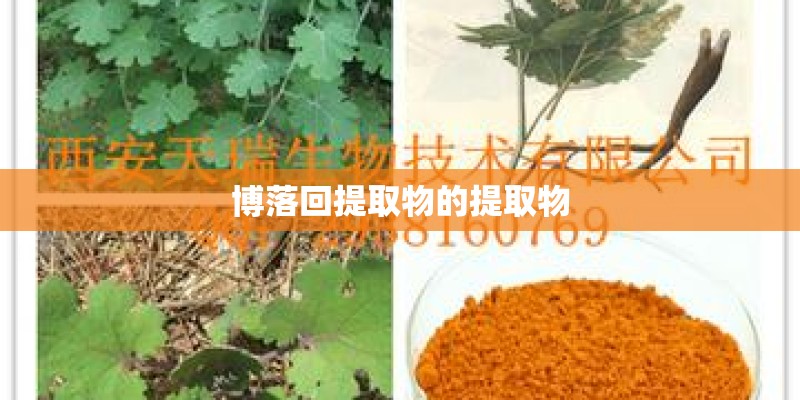 博落回提取物的提取物