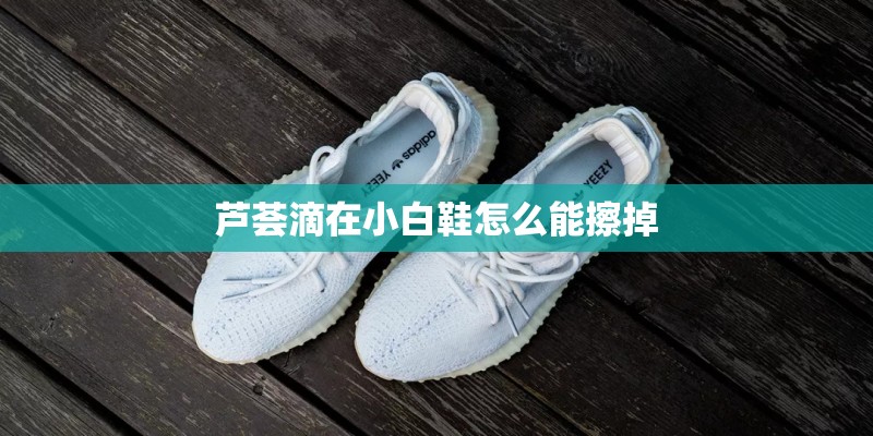 博落回提取物的提取物